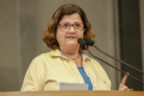06-25-reuniao-plenaria-teresa-leitao-rs-2-2