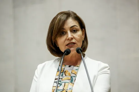 SIMONE SANTANA - "O próprio sistema político já restringe a participação feminina", acredita a presidente da Comissão da Mulher da Alepe. Foto: Roberto Soares