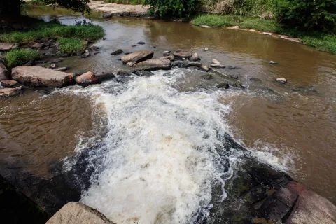 Frente Parlamentar de Revitalização do Rio São Francisco, coordenada pelo deputado Odacy Amorim, faz visita de inspeção em áreas de vulnerabilidade ambiental dos rios Jaboatão e Tejipió.