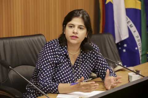VICE-PRESIDENTE - Priscila Krause foi escolhida para assumir posto deixado por Terezinha Nunes. Foto: Alepe