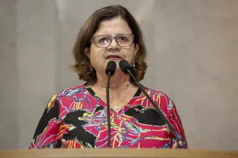 Reunião Plenária