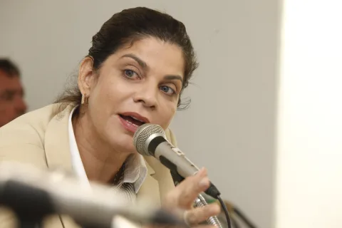 Audiência Pública da Comissão Especial de Acompanhamento aos Casos de Microcefalia no Estado de Pernambuco