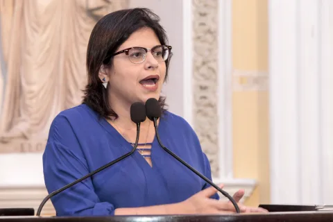 Reunião Plenária