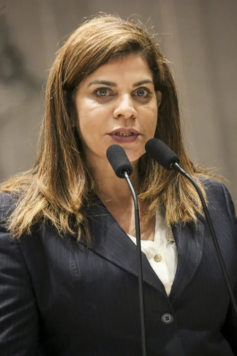 Reunião Plenária - Dep. Socorro Pimentel