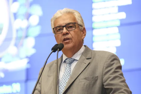Reunião Plenária
