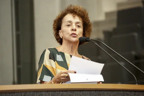 Reunião Plenária - Dep. Laura Gomes