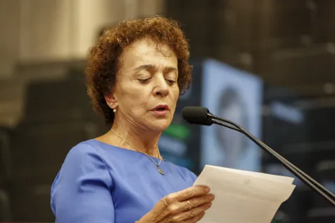 LAURA - Além de itens e pesquisas, tragédia destruiu um prédio histórico “de valor incomparável”. Foto: Jarbas Araújo