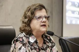 Audiência Pública da Comissão de Educação - Dep Teresa Leitão