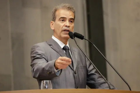 Reunião Plenária