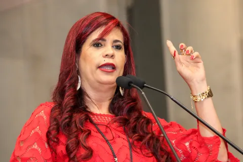 Reunião Plenária