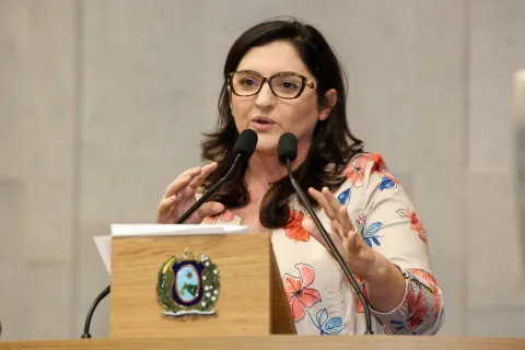 Reunião Plenária