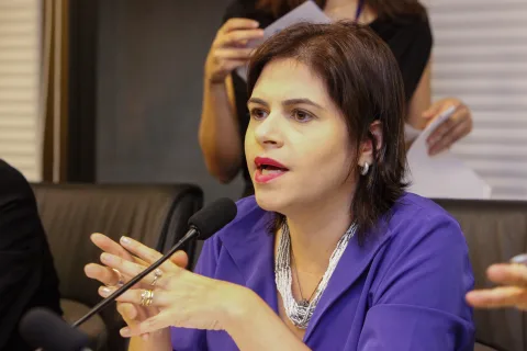 PROPOSIÇÃO - Para Priscila Krause, Programa de Integridade acatado “cria meios para prevenir corrupção e proteger administração pública”. Foto: Evane Manço