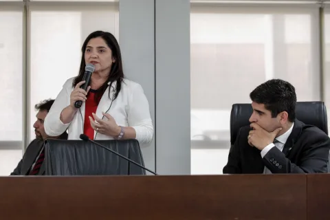 Comissão de Desenvolvimento Econômico