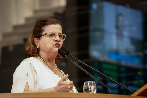 REUNIÃO - Parlamentar participou do II Encontro Nacional de Presidentes e Vice-Presidentes das Comissões de Educação das Assembleias Legislativas, em Cuiabá. Foto: Roberto Soares
