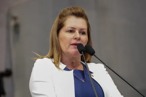 TRÂNSITO - Parlamentar registrou a importância da iniciativa para preservar vidas e garantir mais segurança. Foto: Roberta Arraes