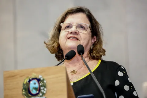CONQUISTA - “Teve o apoio de 1,2 milhão de pessoas, que identificaram na agremiação os anseios por uma sociedade mais justa e igualitária.” Foto: Roberto Soares